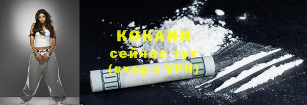 spice Богданович