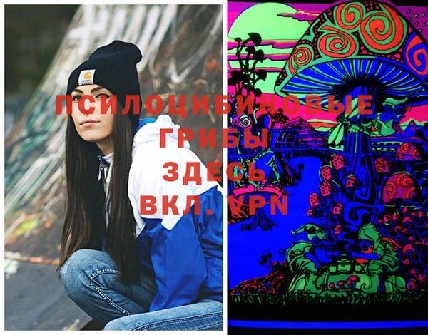 прущие крисы Богородск