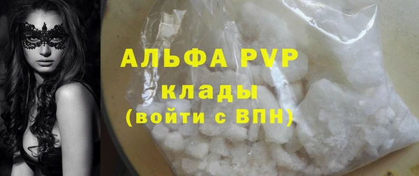 spice Богданович
