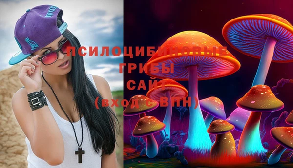 прущие крисы Богородск