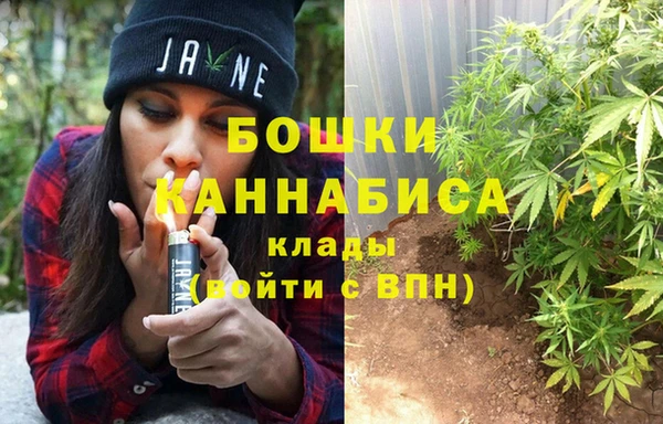 spice Богданович