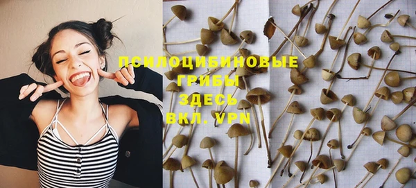 дурь Богородицк