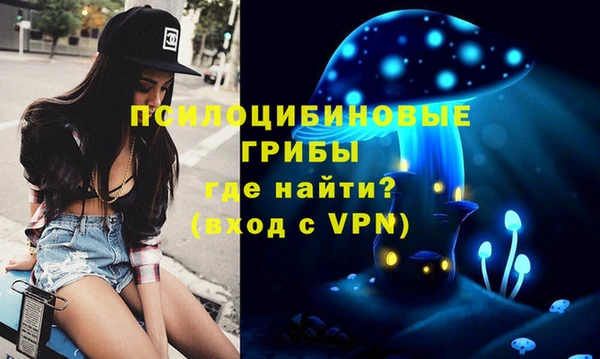 прущие крисы Богородск