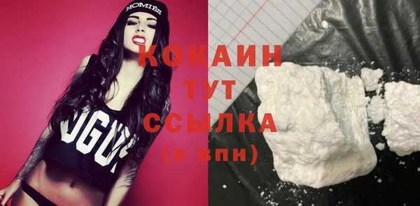spice Богданович